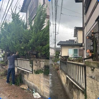 画像233