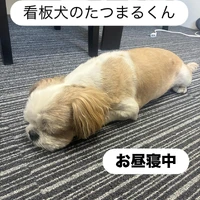 画像239