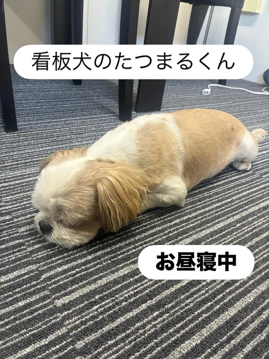 画像239