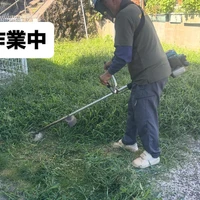 画像242