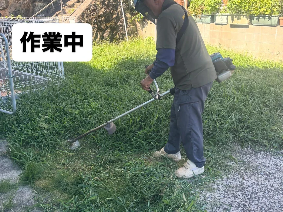 画像242
