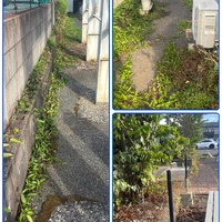 画像245