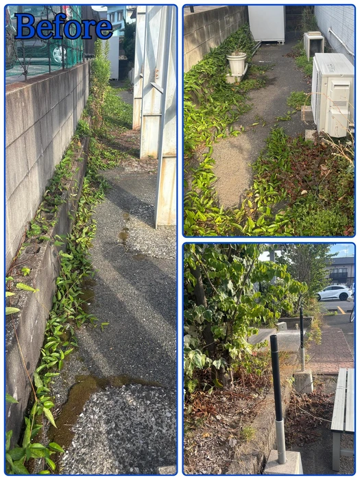 画像245