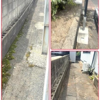 画像246