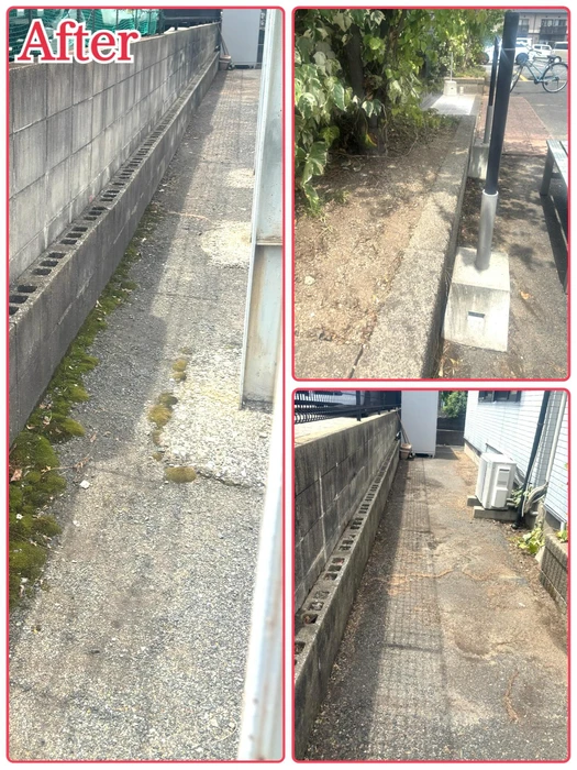 画像246