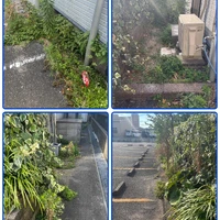 画像247
