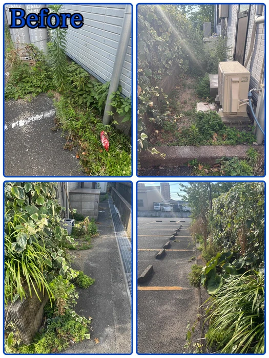 画像247