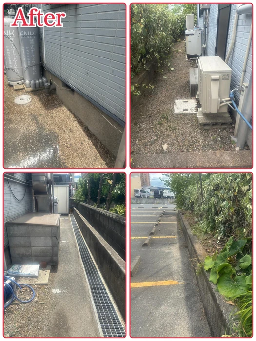 画像248