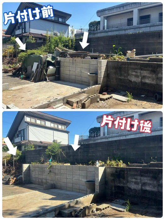 画像250