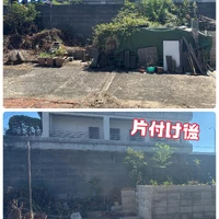 画像252