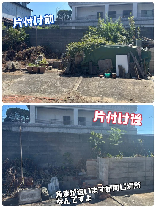 画像252