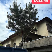 画像262