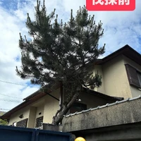 画像264