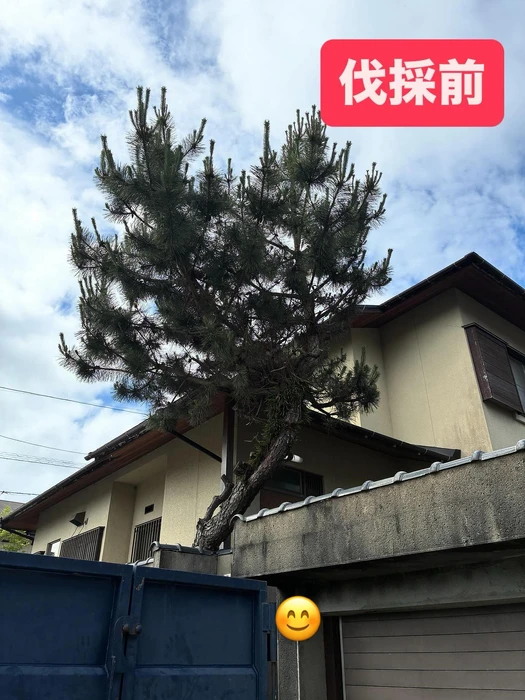 画像264