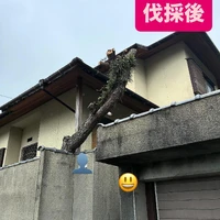 画像265