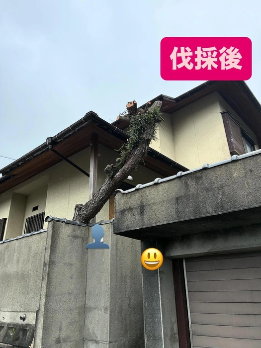 画像265