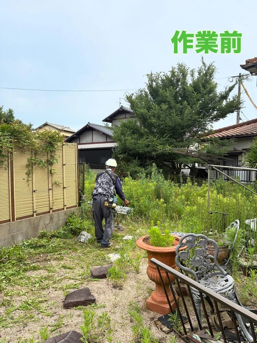 画像267