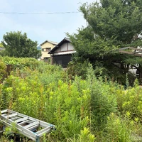 画像268