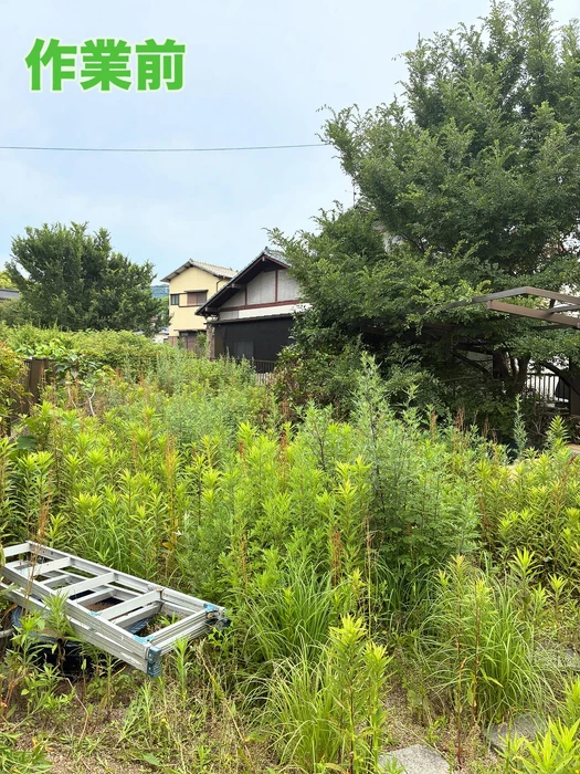画像268