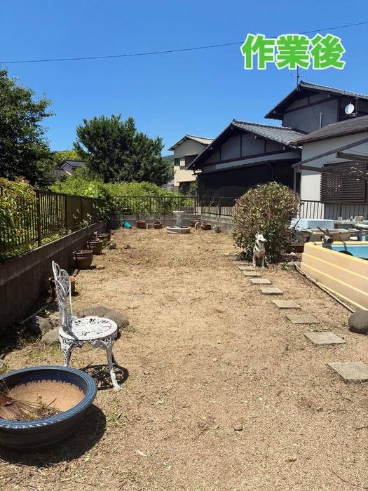 画像270